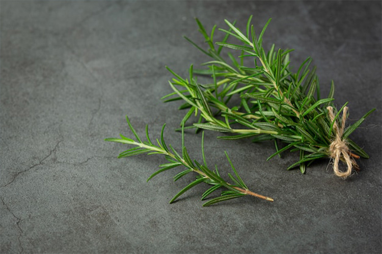 rosemary